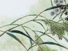 免費測財運最準的方法 免費測試財運