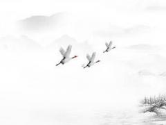 姓氏蓬的由來 蓬姓家譜