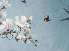 屬猴和屬虎的最佳婚配,屬猴和屬虎的配嗎