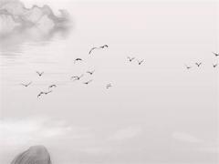 屬鼠人婚配口訣,屬鼠的婚配怎么樣