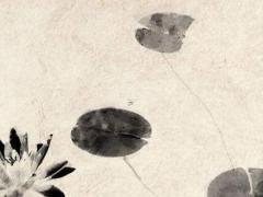 1993年女人屬雞幾月出生最好,93年雞女幾月生不好