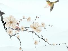 最新八字斤兩算命表 八字斤兩算命表2020