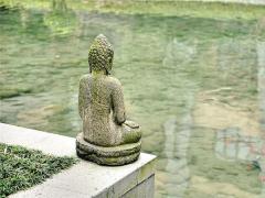 周公解夢之夢到鞋帶斷了 做夢夢見鞋帶斷了