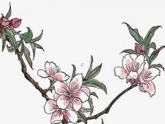 生辰八字四柱一樣 生辰八字和四柱