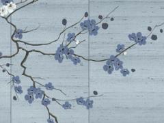 屬馬女和屬鼠的女人相配嗎,屬馬女和屬鼠女和不合財