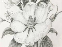 怎么根據生辰八字判斷戀愛次數 八字怎樣算一次戀愛