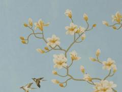 屬蛇的今年適合養(yǎng)什么花,屬蛇的今年養(yǎng)什么植物