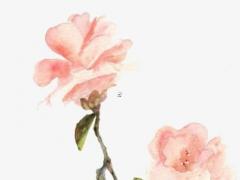 清明節出生的人陰氣重嗎 清明節出生的人怎么樣