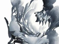 肖姓的女寶寶好名字大全 肖姓的女孩名