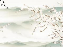 生辰八字挑結(jié)婚日子 結(jié)婚吉日生辰八字擇日要看哪些