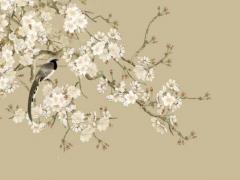 八字算出房子應住哪個朝向 八字怎么看房子的位置