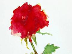 男命八字中有兩個正財兩個正印 男命有兩個正財是兩次婚姻嗎