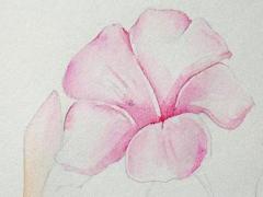 女孩農(nóng)歷十四出生好嗎 女孩農(nóng)歷十四出生好嗎婚姻