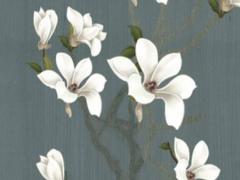 什么樣的八字容易有婚災(zāi) 什么樣的八字容易晚婚