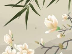 算命的說的半個人是什么意思 算命一半準(zhǔn)一半不準(zhǔn)