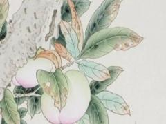 五行屬火的水果大全 火屬性的水果