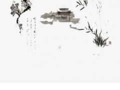 女人屬豬的后半生如何,屬豬女晚年幸福嗎