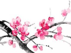 農歷六月十三出生女孩 農歷六月十三出生女孩命運