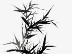 屬蛇人最大的恩人 屬蛇人的神秘