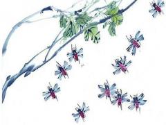 申姓起名方法 申姓起名獨特有福氣的