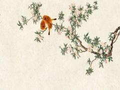 算命女傷官婚姻不順怎么辦 傷官女婚姻不好怎么辦