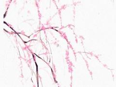 陰歷7月15燒紙嗎 陰歷7月15燒紙還是7月14燒紙