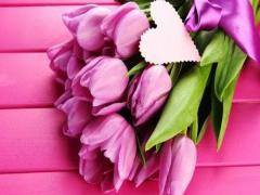 周公解夢之被蛇咬屁股出血 夢到被蛇咬屁股預(yù)示著什么