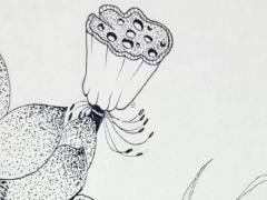 麻煩專家批解生辰八字 生辰八字解讀軟件