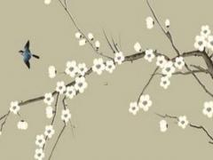 屬豬的單身女 屬豬女個性