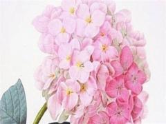 1984年屬鼠婚姻在哪年 1984年屬鼠和1984年屬鼠婚姻怎么樣