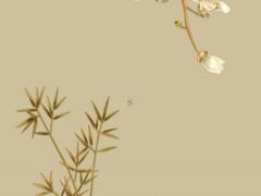 90年正月十三女孩命運如何 1990年正月十三女孩是什么命