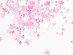 為什么日歷有陰歷和陽歷 為什么日歷有農歷和陽歷