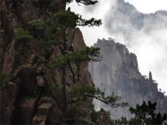 八字怎么看能不能考上事業編 八字怎么看能不能當兵