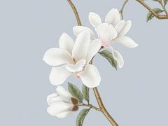 個性起微信名字大全 個性微信名字大全男