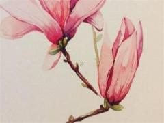 屬兔人2023年本命年運(yùn)勢,屬兔人2023年本命年運(yùn)勢女性