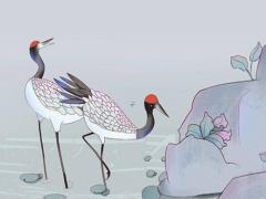 流年是什么意思算命的 流年啥意思