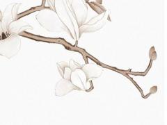 好聽英文的名字