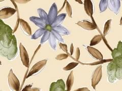 屬兔婚配哪個(gè)最好,屬兔的婚配什么生肖好