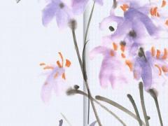 客廳適合養的18種植物 十大客廳風水植物