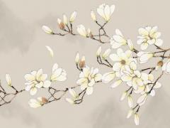 手機(jī)算命數(shù)理是什么意思 算命里的數(shù)理什么意思