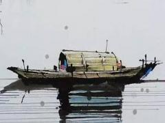 85年屬牛的運氣怎么樣 85年屬牛的是什么命什么相