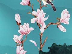 算命先生說(shuō)的無(wú)根什么意思 無(wú)根命怎么辦