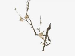 怎么破解八字說要晚婚 算八字的說我要晚婚