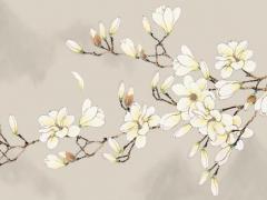 算命說(shuō)我明年走官運(yùn) 算命先生說(shuō)我明年開(kāi)始走運(yùn)氣