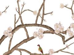 1956年至今多少年了 1956是多少年