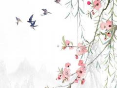 算命傷宮是什么意思 算卦的傷宮是什么意思