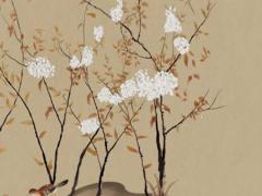 十二生肖屬相生相克 十二生肖相生和相克