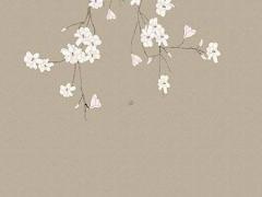 八字中我克者為什么 八字里我克者為財(cái)