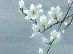 新婚夫妻之間最佳婚配是什么 新婚夫妻關(guān)系怎樣相處