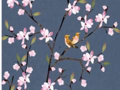 經(jīng)典福克斯后輪外八字是什么原因 福克斯后輪外傾角怎么調(diào)整